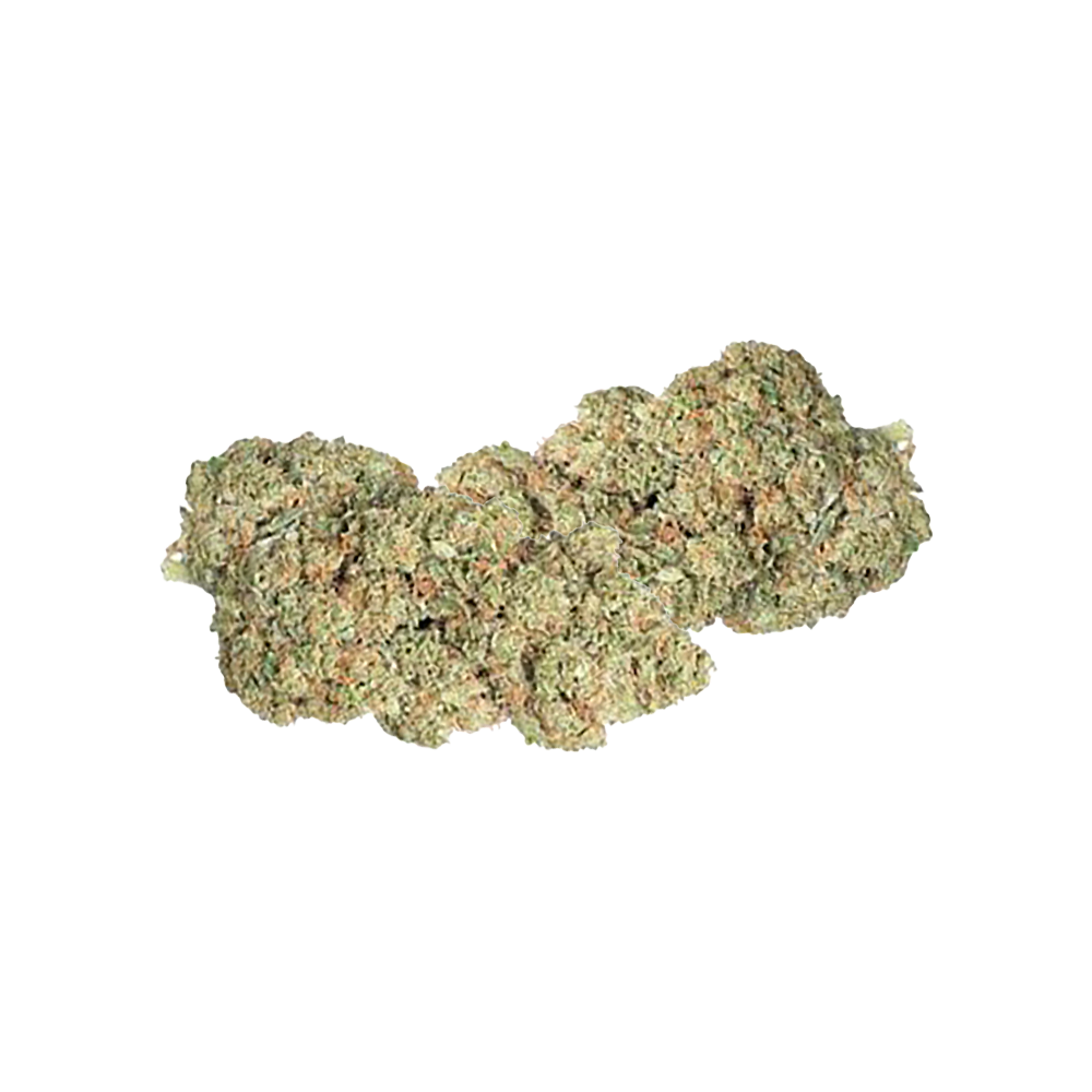 Blue Gelato Cogollo CBD